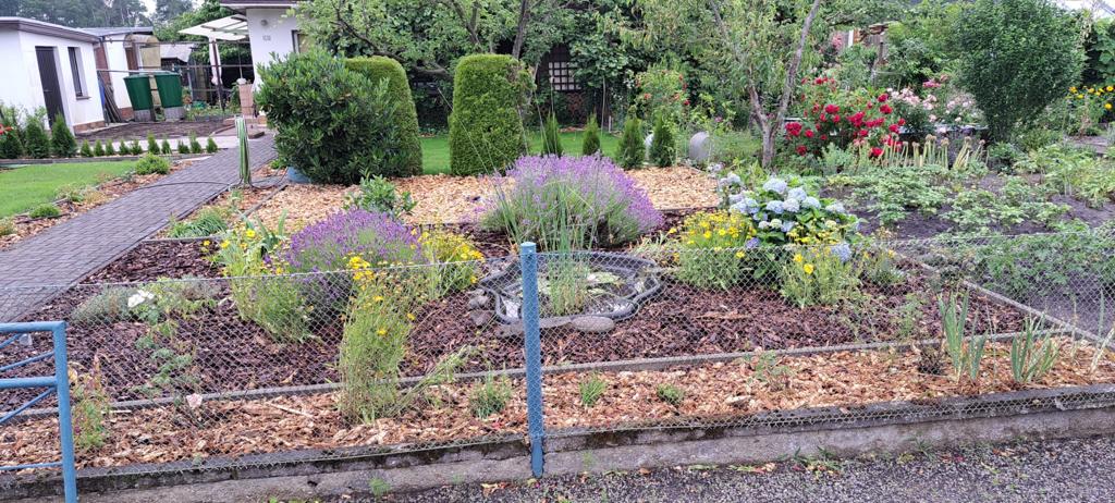 WhatsApp Image 2023 07 31 at 12.02.56 4