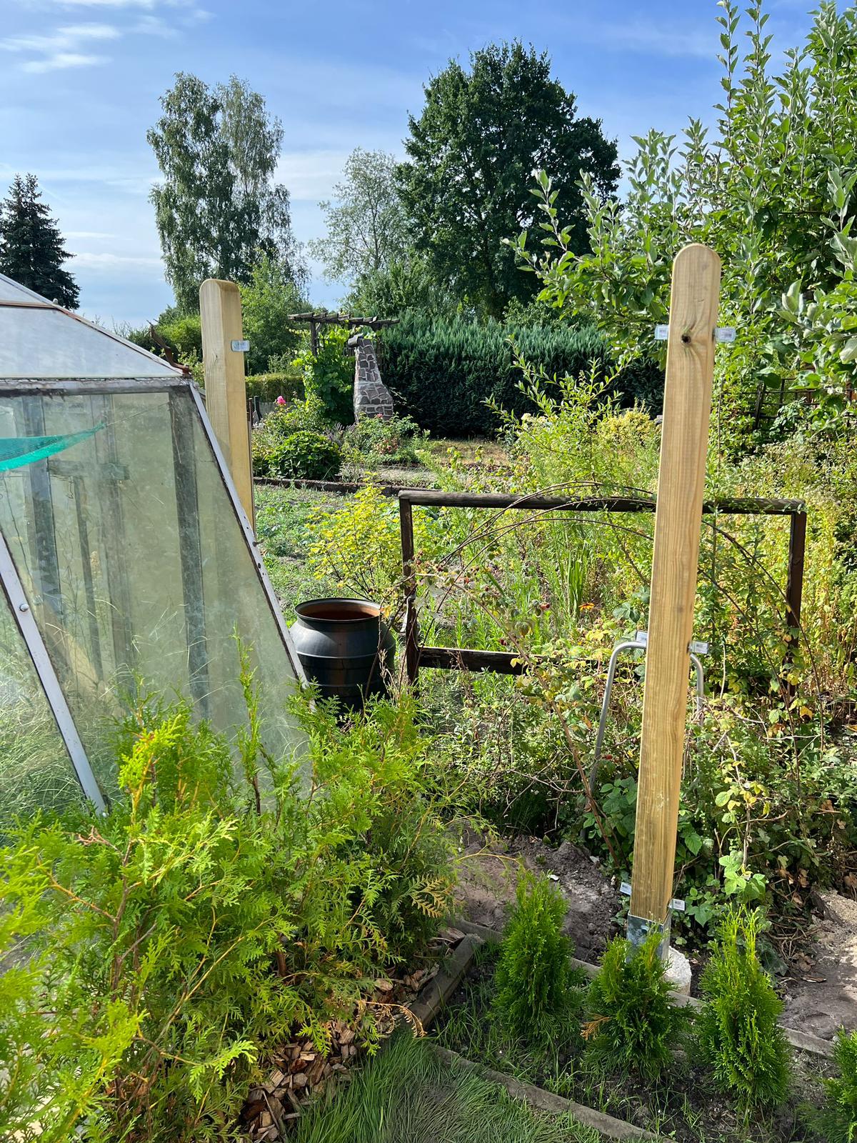 WhatsApp Image 2023 07 31 at 12.14.57