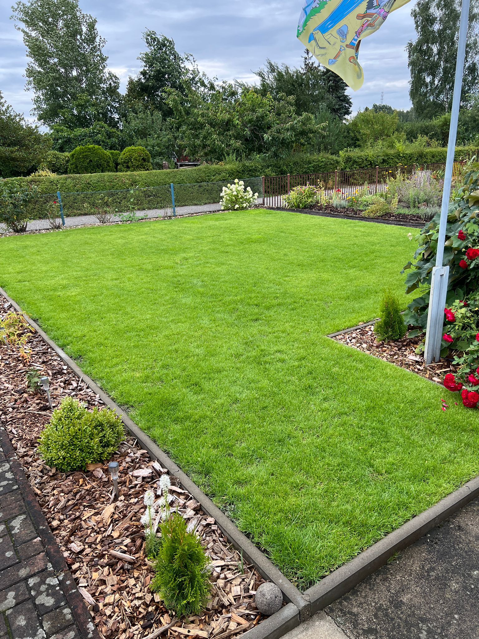 WhatsApp Image 2023 07 31 at 12.15.01