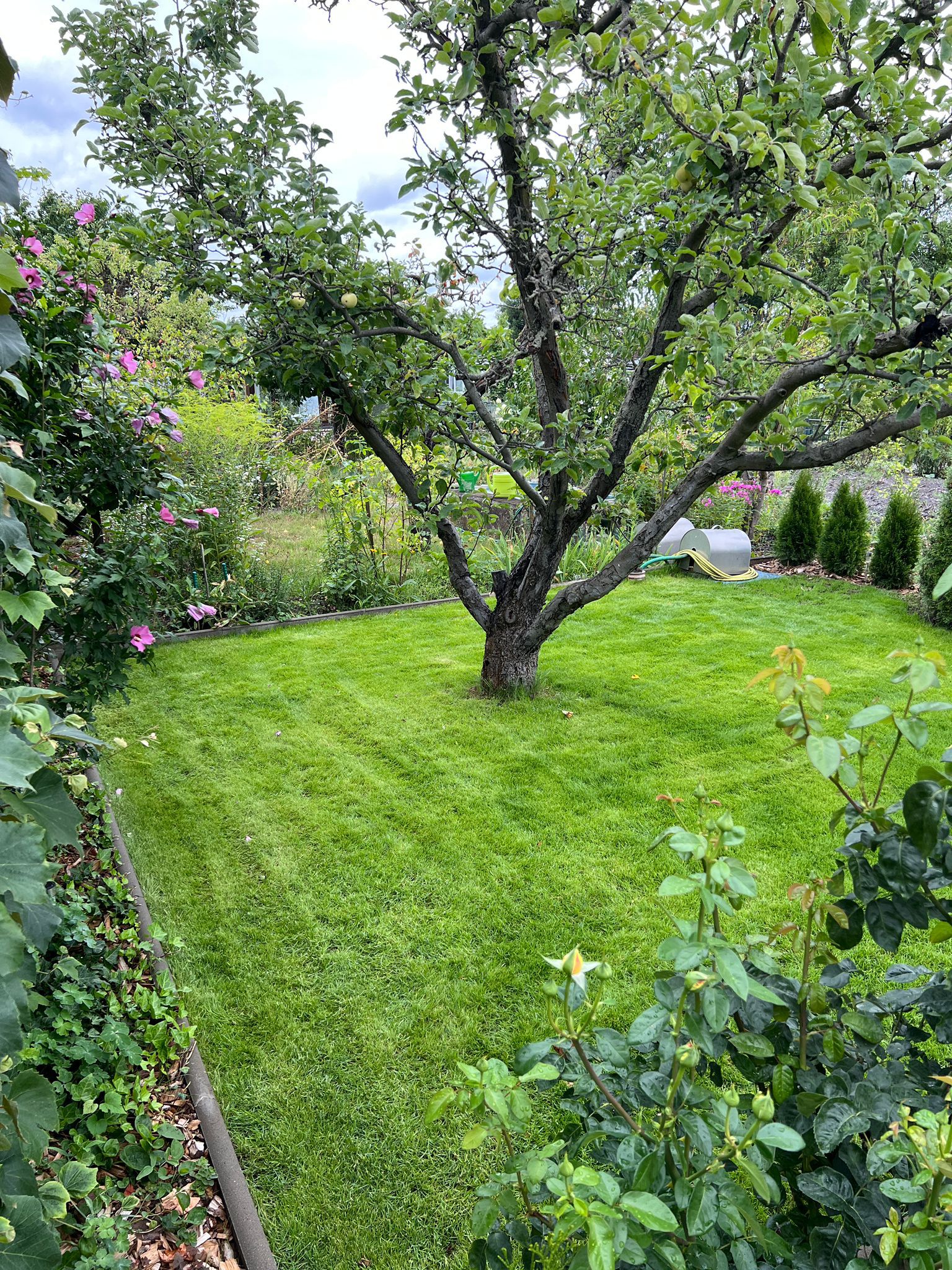 Baustelle Kleingarten