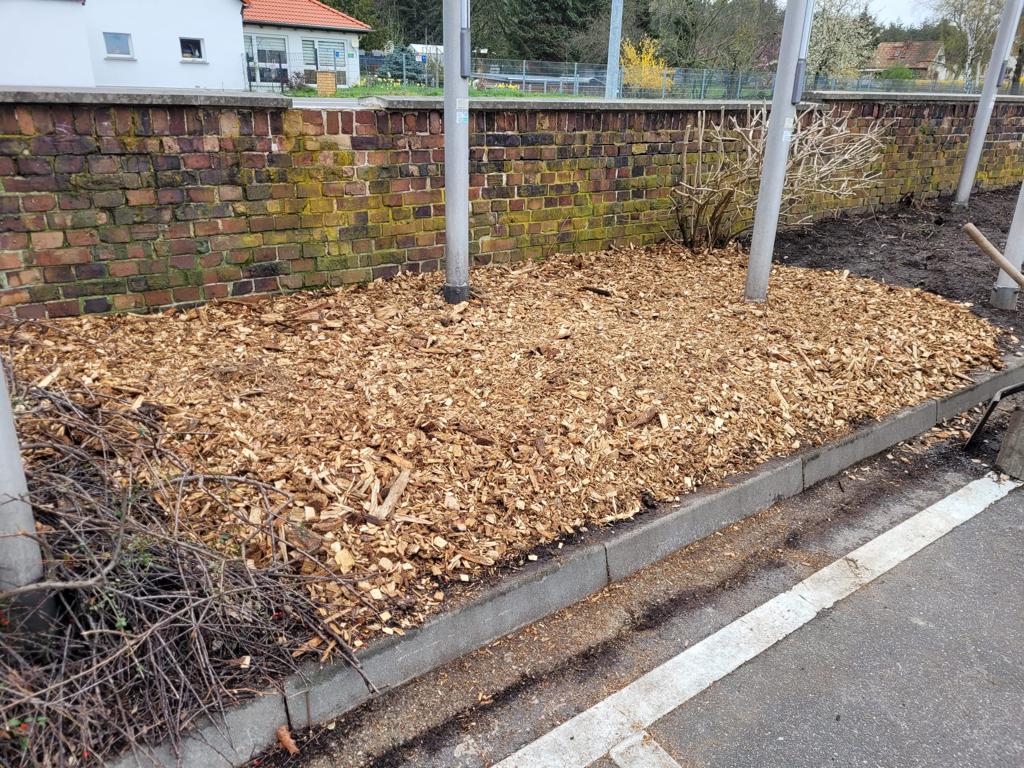 WhatsApp Image 2023 07 31 at 11.59.41 3