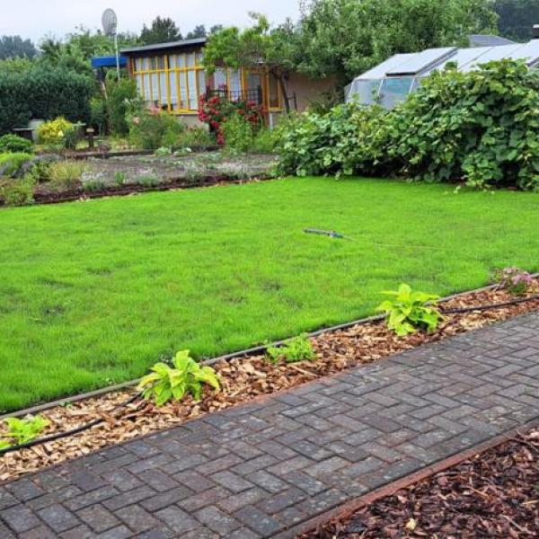 Neuanlage Kleingarten